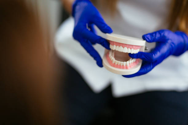 Best Traditional Braces  in Minerva Park, OH